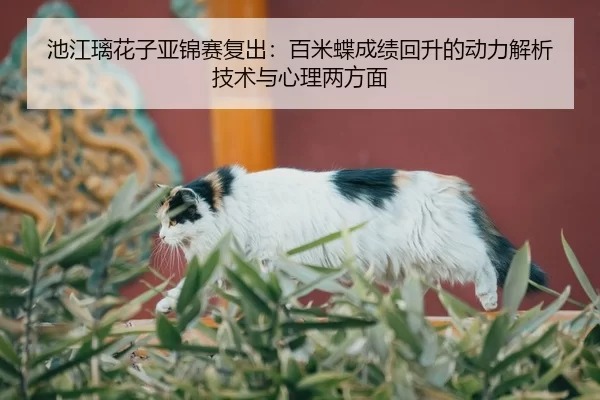 池江璃花子亚锦赛复出：百米蝶成绩回升的动力解析 技术与心理两方面